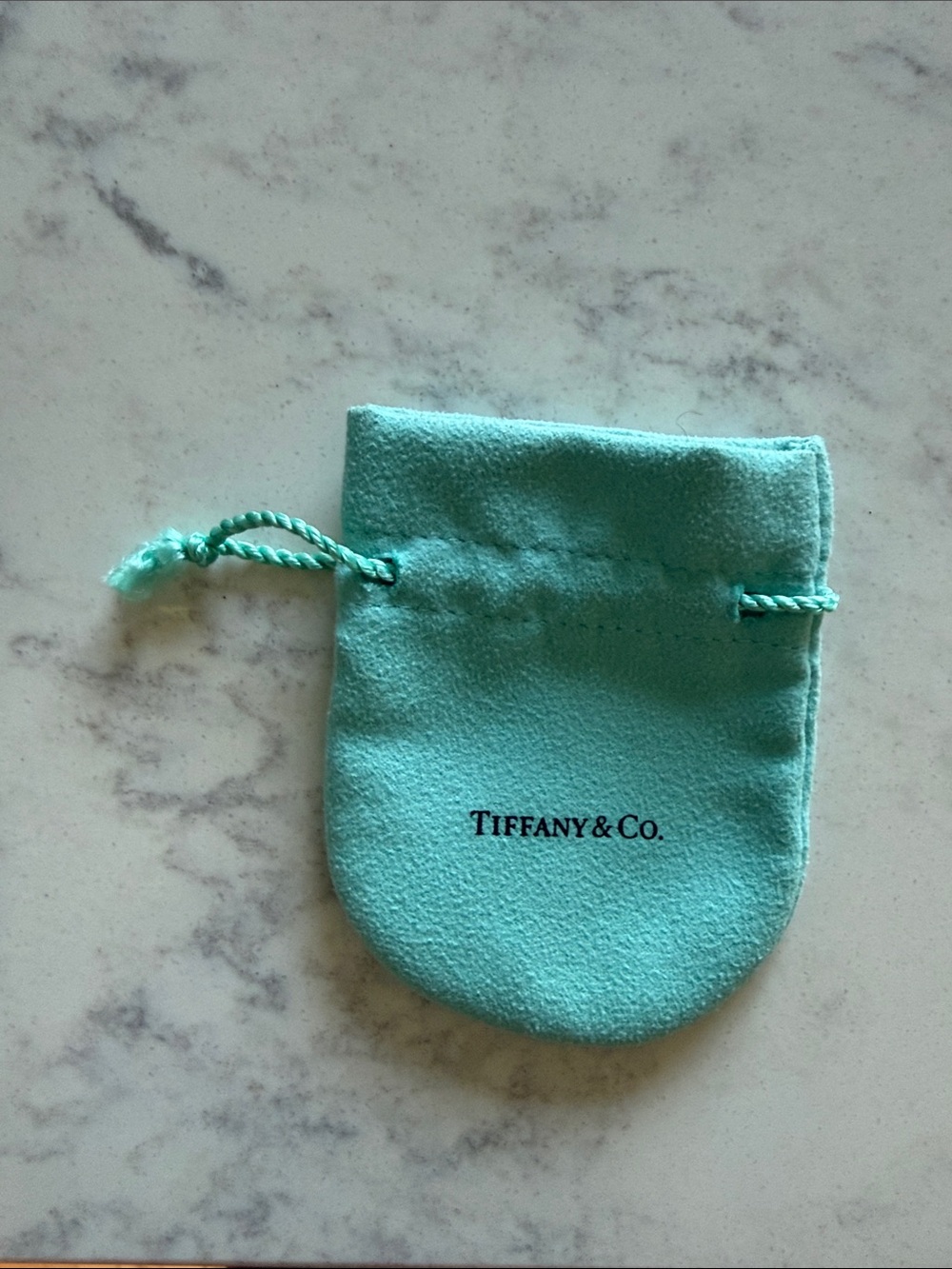Tiffany & Co. Robin's Egg Blue Velvet Drawstring Pouch